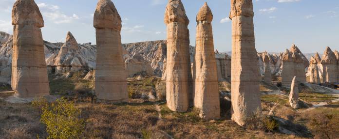 Dauererektion (Priapismus) » Ursache, Folgen, Behandlung