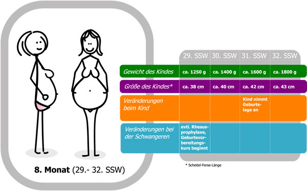 31 Schwangerschaftswoche 31 Ssw Drittes Trimester Gewicht Grosse Kind Beschwerden