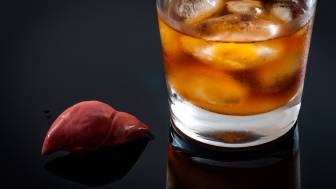 Wie viel Alkohol muss ein Ewachsener trinken, um an einer Leberzirrhose zu erkranken?