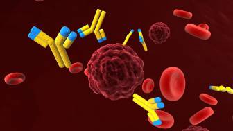 Was ist eine Antikörpertherapie bei Magenkrebs?