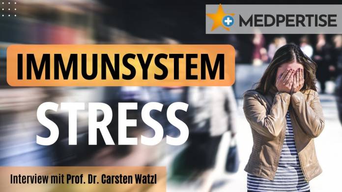 Ist Stress gut für unser Immunsystem? - Prof. Dr. Carsten Watzl