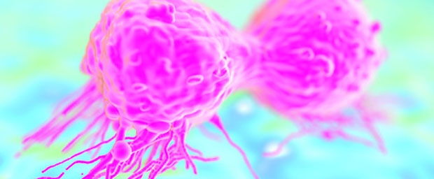 Neue Zusammenhänge zwischen Östrogen und Brustkrebs entdeckt 