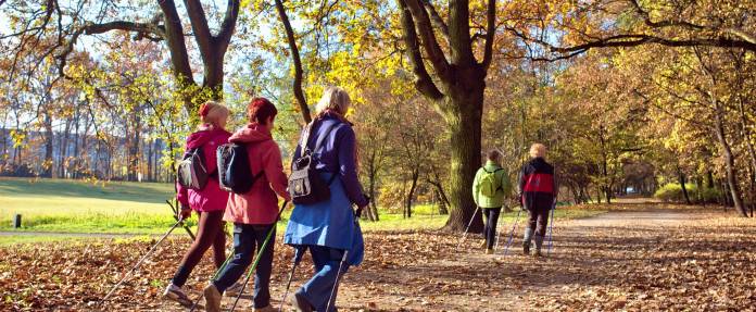 Menschen beim Nordic Walking im Park