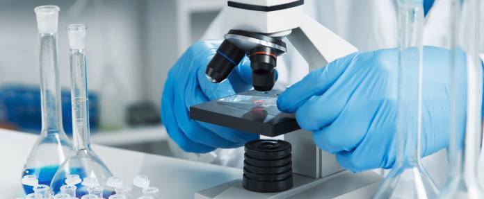 Laboruntersuchung am Mikroskop nach Biopsie