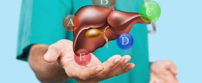 Menschliche Leber und die Buchstaben A, B, C, D, E drumherum