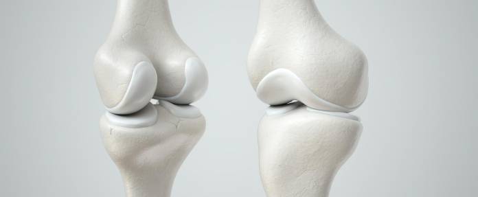 Kniegelenke mit gesundem Knorpel - 3D-Rendering