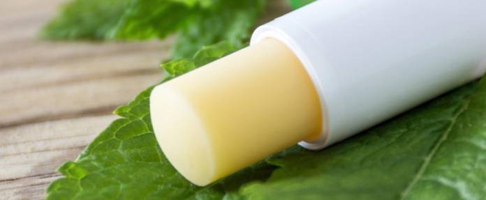 Natürlicher Lippenpflegestift auf Zitronenmelisse liegend
