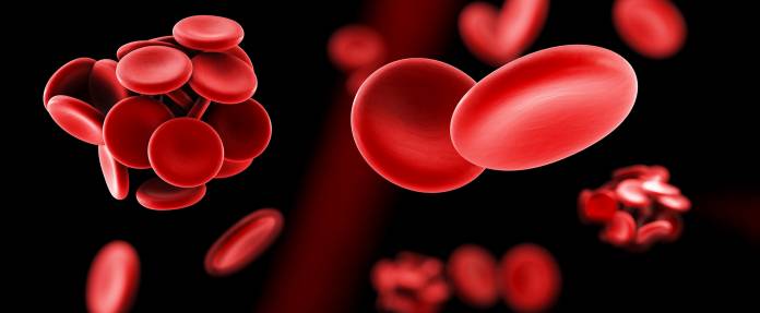Blutgerinnung und Thrombose als 3D-Illustration