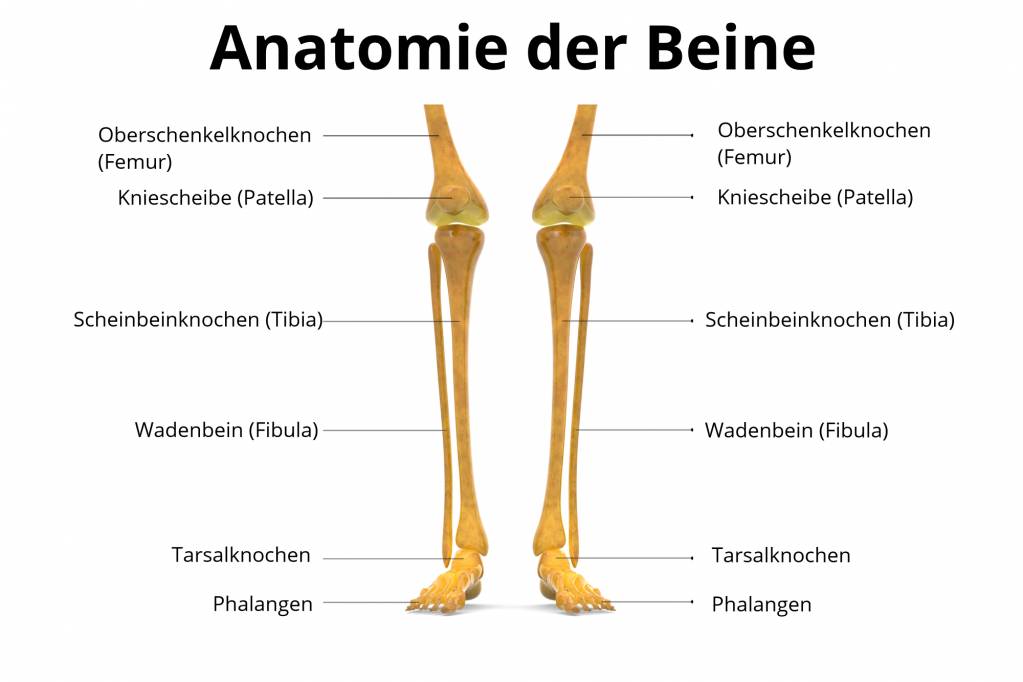 Wie lange dauert ein knochenszintigramm