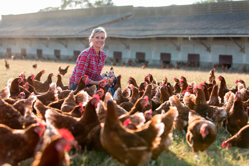 Campylobacter Magen Darm Grippe