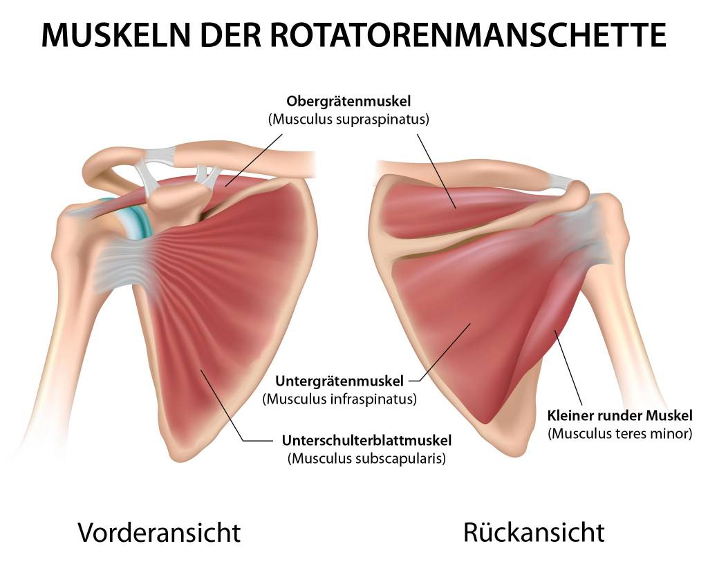Wie Lange Dauert Es Bis Eine Schulterverletzung Heilt