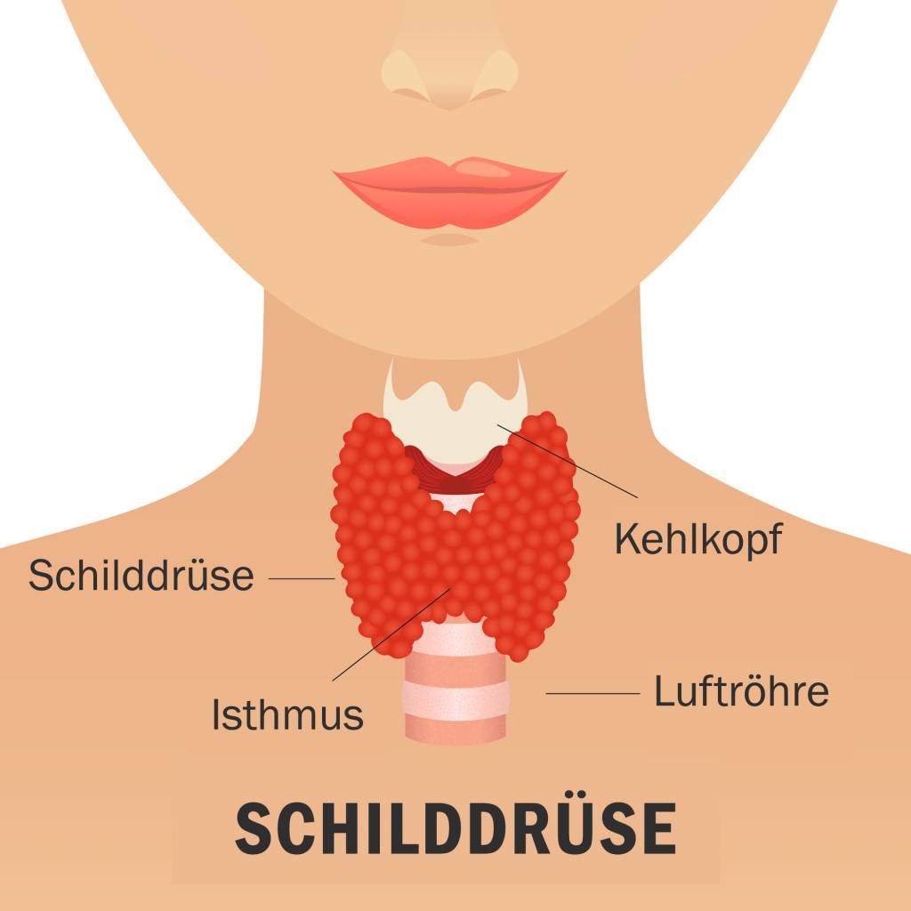 Schilddrüse brennen im hals