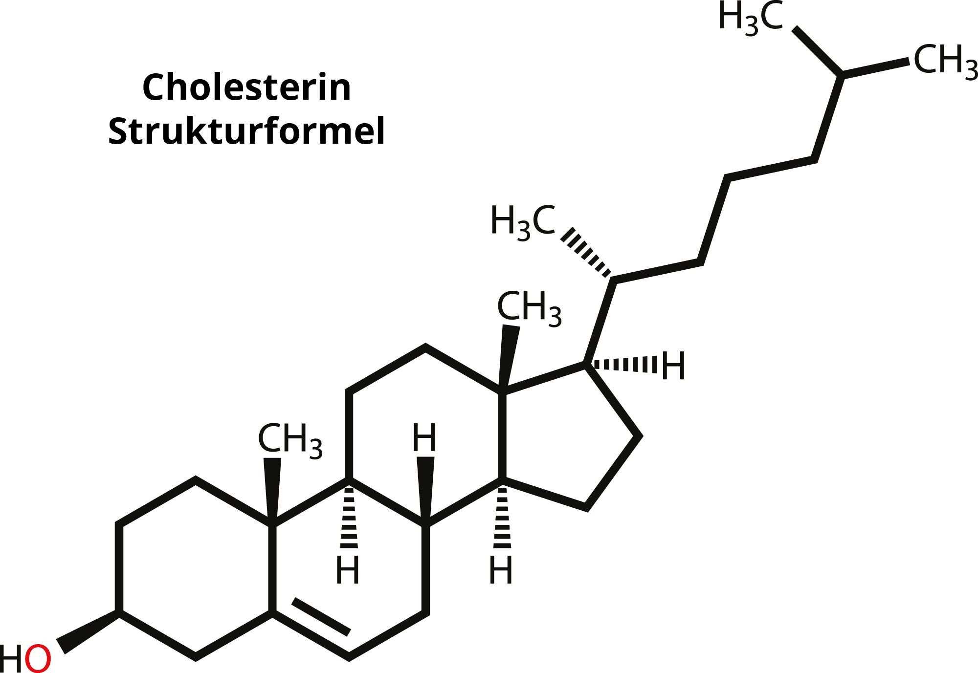 Cholesterin Im Blut Funktion Normwerte Folgen