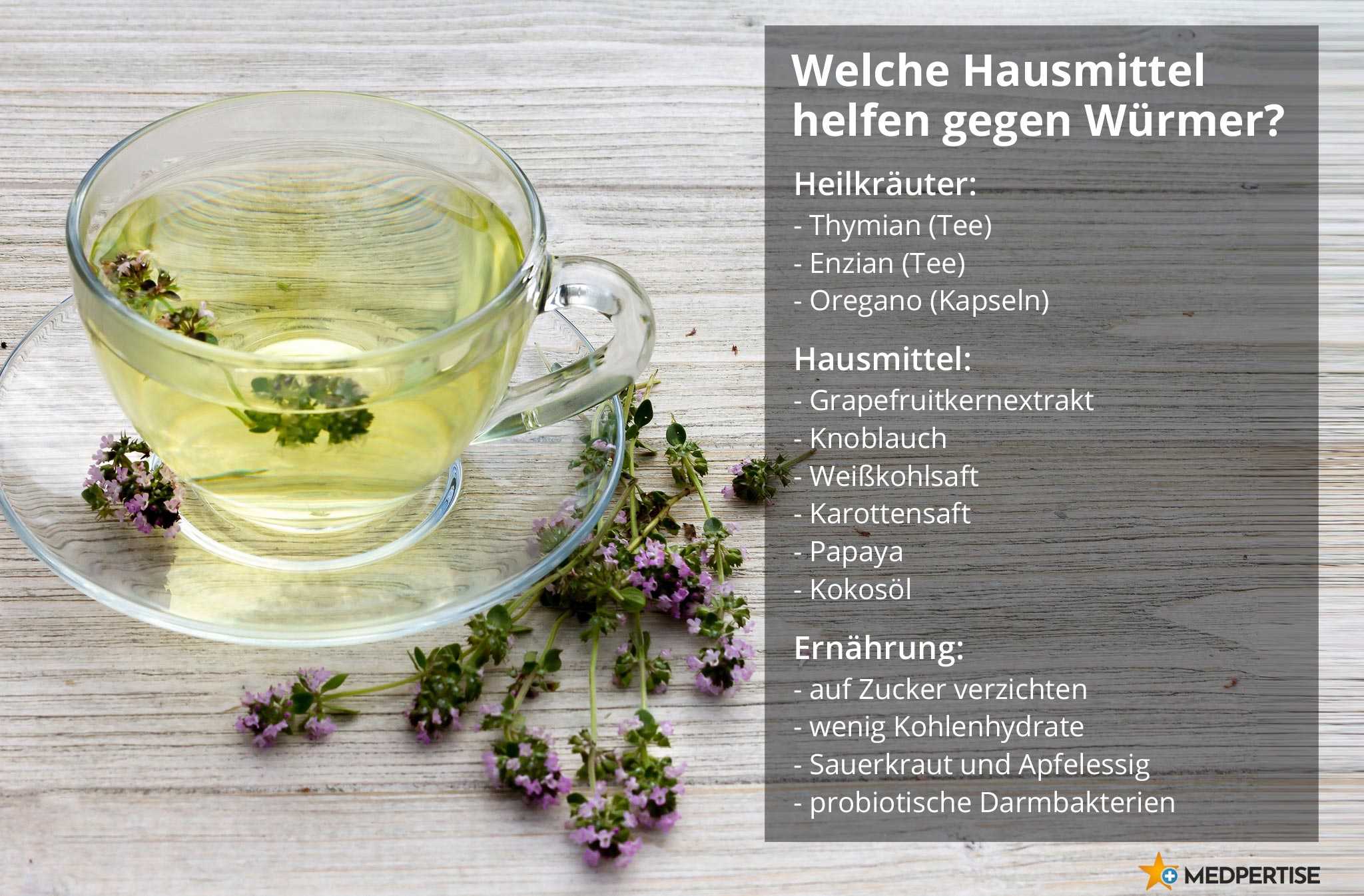 Behandlung Bei Wurmbefall Beim Menschen www.medpertise.de