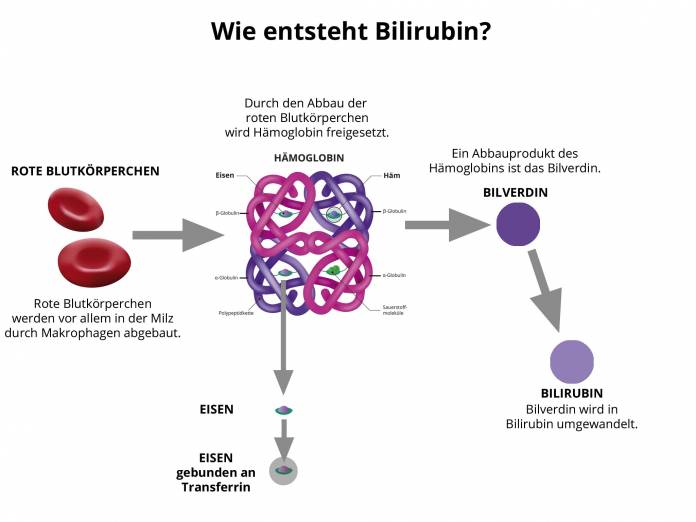 Bilirubin Definition