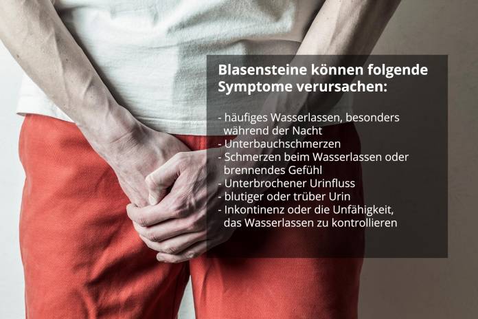 Symptome durch Blasensteine