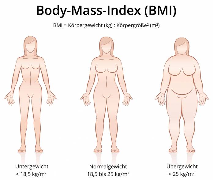 Body-Mass-Index berechnen