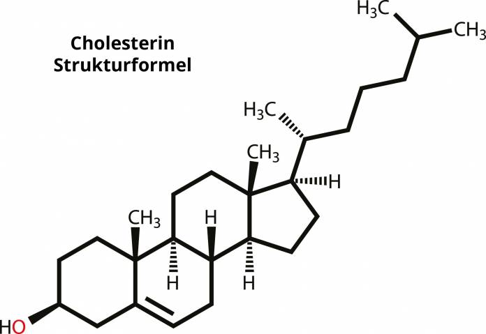 Cholesterin