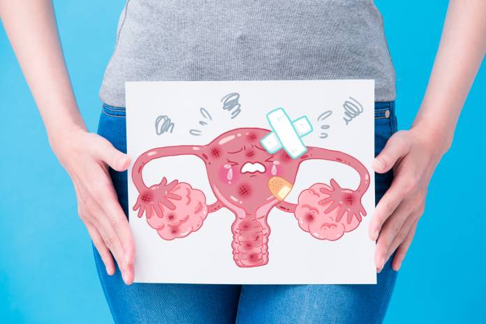 Plumper uterus bedeutet was Was heißt