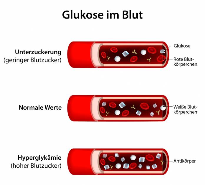 Glukose im Blut