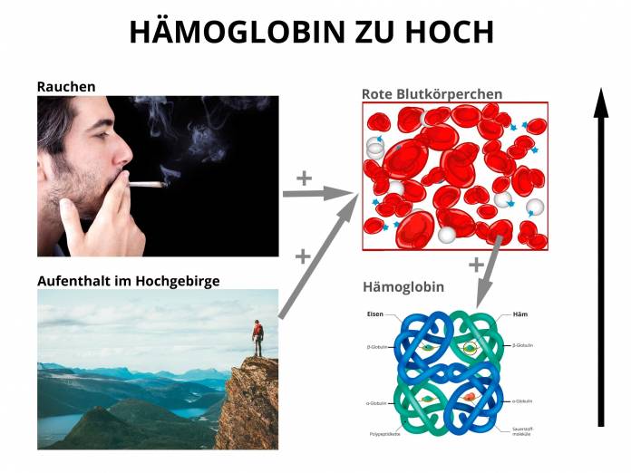 Hämoglobin zu hoch