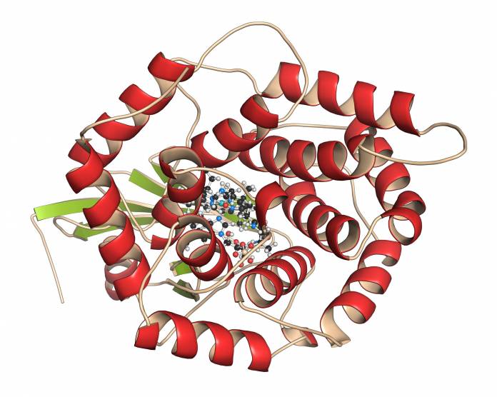 Intrinsischer Faktor