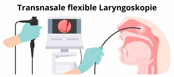 Transnasale flexible Laryngoskopie