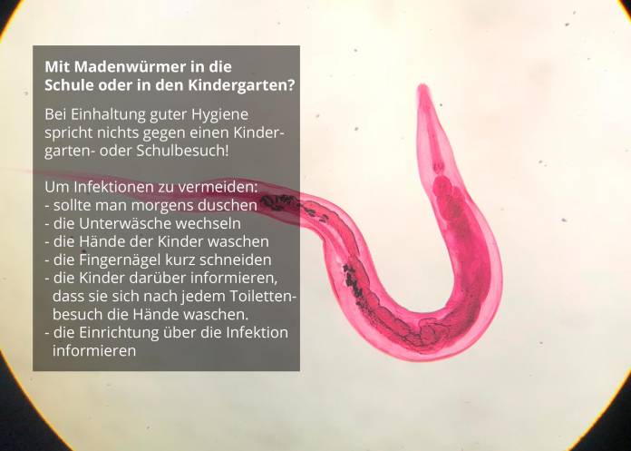 Mit Madenwürmern zu Hause bleiben?