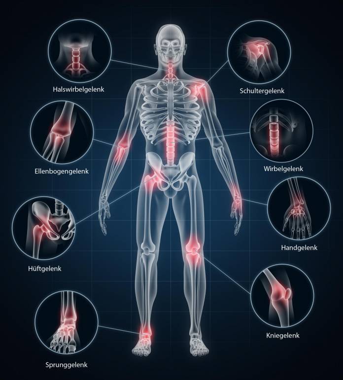 Menschliche Gelenke