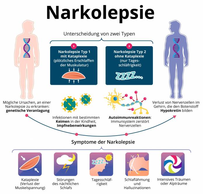 Ursachen und Symptome der Narkolepsie