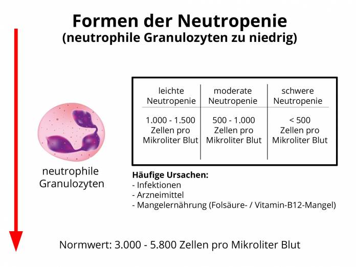 Neutropenie