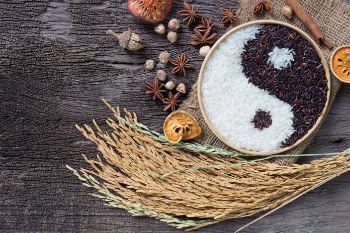 Yin und Yang in der Traditionellen Chinesischen Medizin