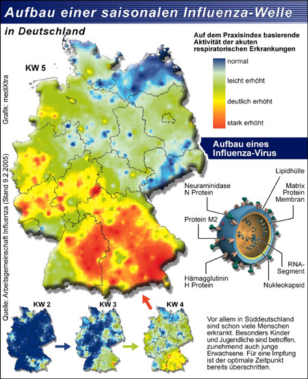 Wie gefährlich ist Grippe?