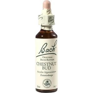 Bach-Blüte Chestnut Bud, 20 ML