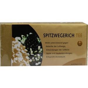Spitzwegerichtee, 25 ST