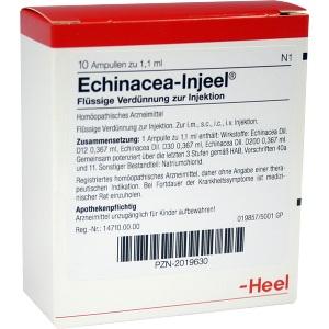 Echinacea Injeel, 10 ST