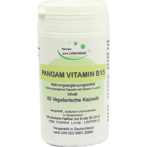 Pangam Vitamin B15, 60 ST