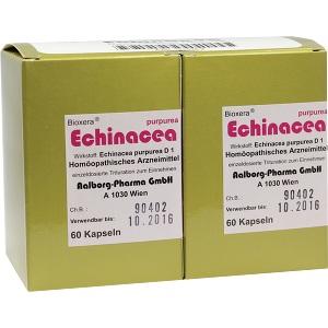 Echinacea, 120 ST