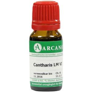 CANTHARIS ARCA LM 06, 10 ML