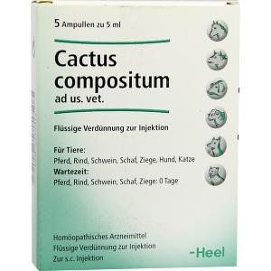 CACTUS COMP VET, 5 ST