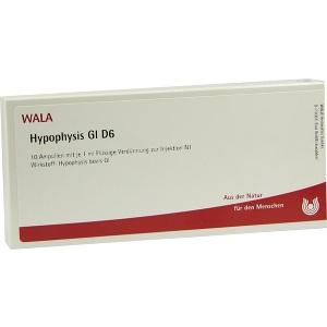 HYPOPHYSIS GL D 6, 10x1 ML