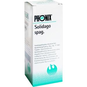 PHÖNIX Solidago spag., 100 ML