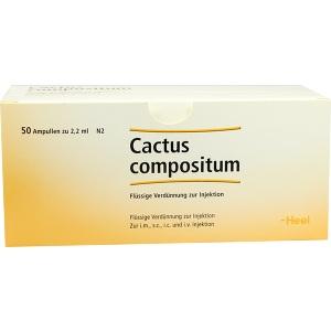 CACTUS COMP, 50 ST
