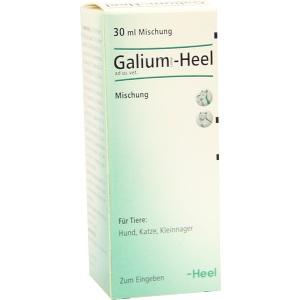 Galium comp.-Heel ad us. vet., 30 ML