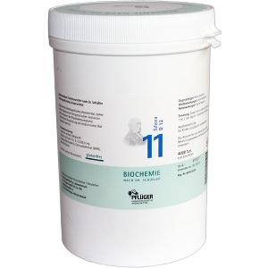 Biochemie Pflüger Nr. 8 Natrium chloratum D 6, 4000 ST