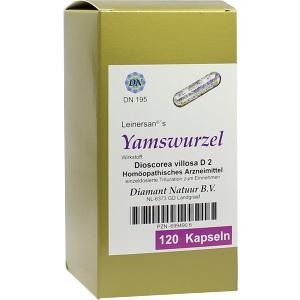 Yamswurzel, 120 ST