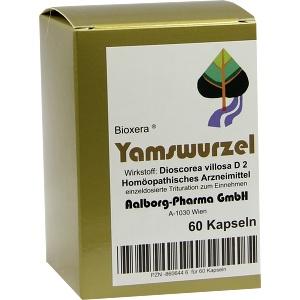 Yamswurzel, 60 ST