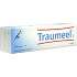 Traumeel S, 100 G
